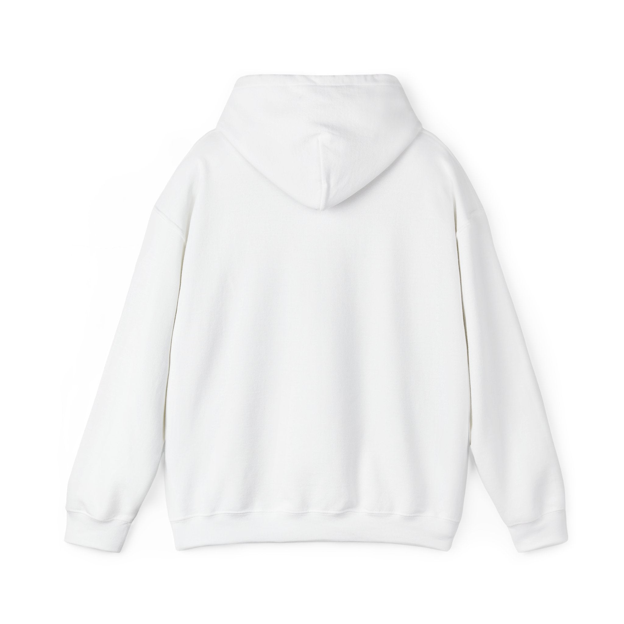 Diktatè Hooded Sweat — graphic detail