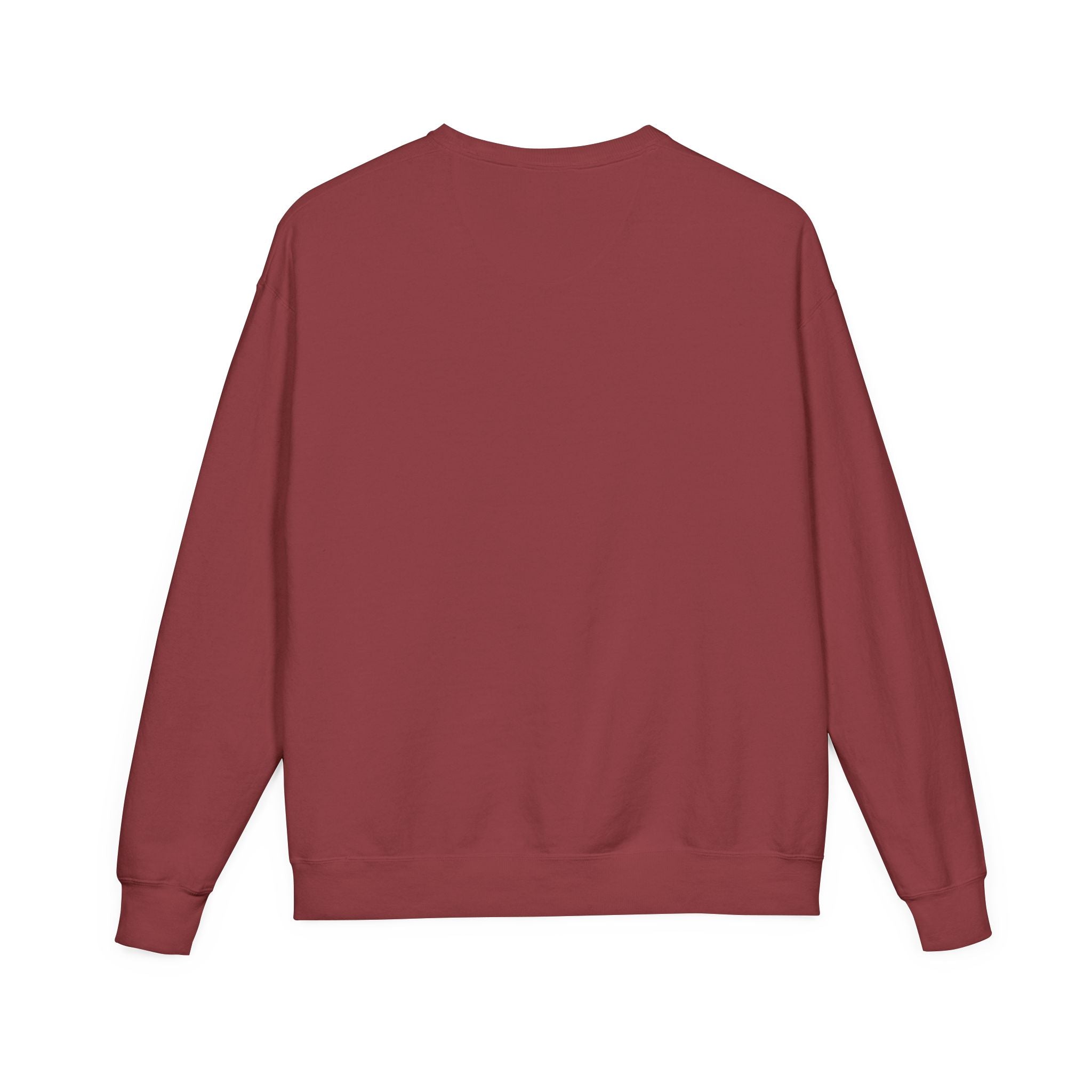 My DNA 1804 Haitian Flag Crewneck — styled photo 42