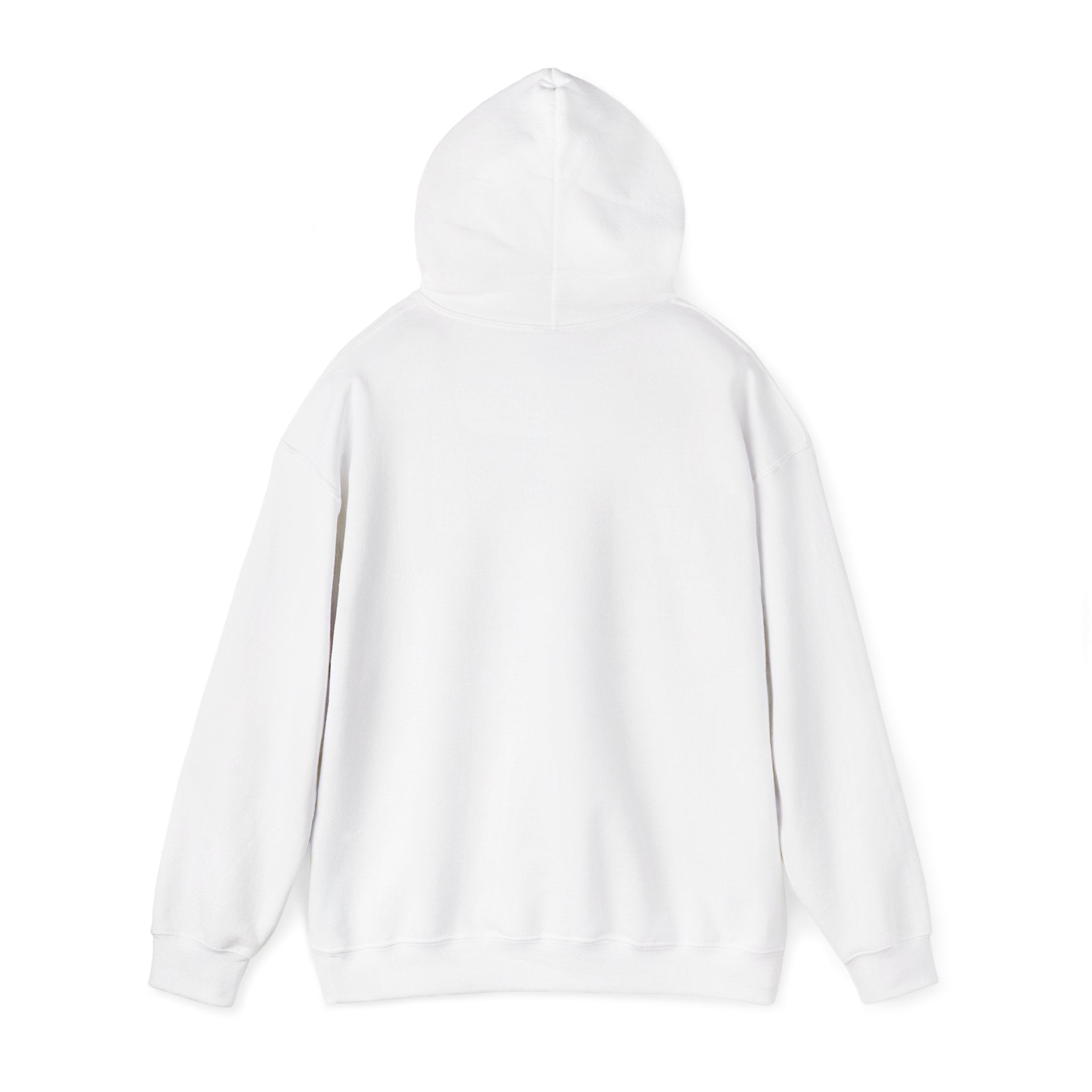 Diktatè Hooded Sweat — back view