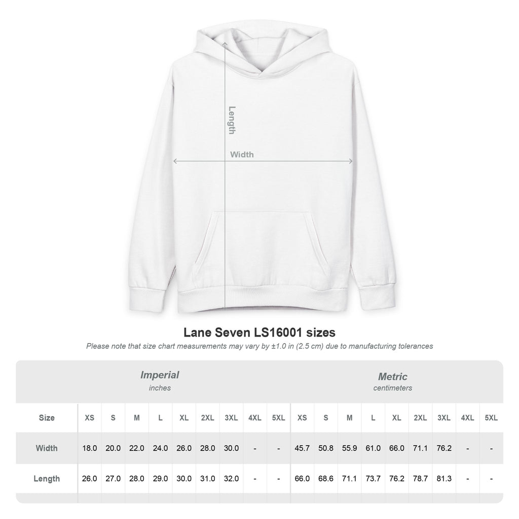 Diktatè Urban Pullover Hoodie — detail view