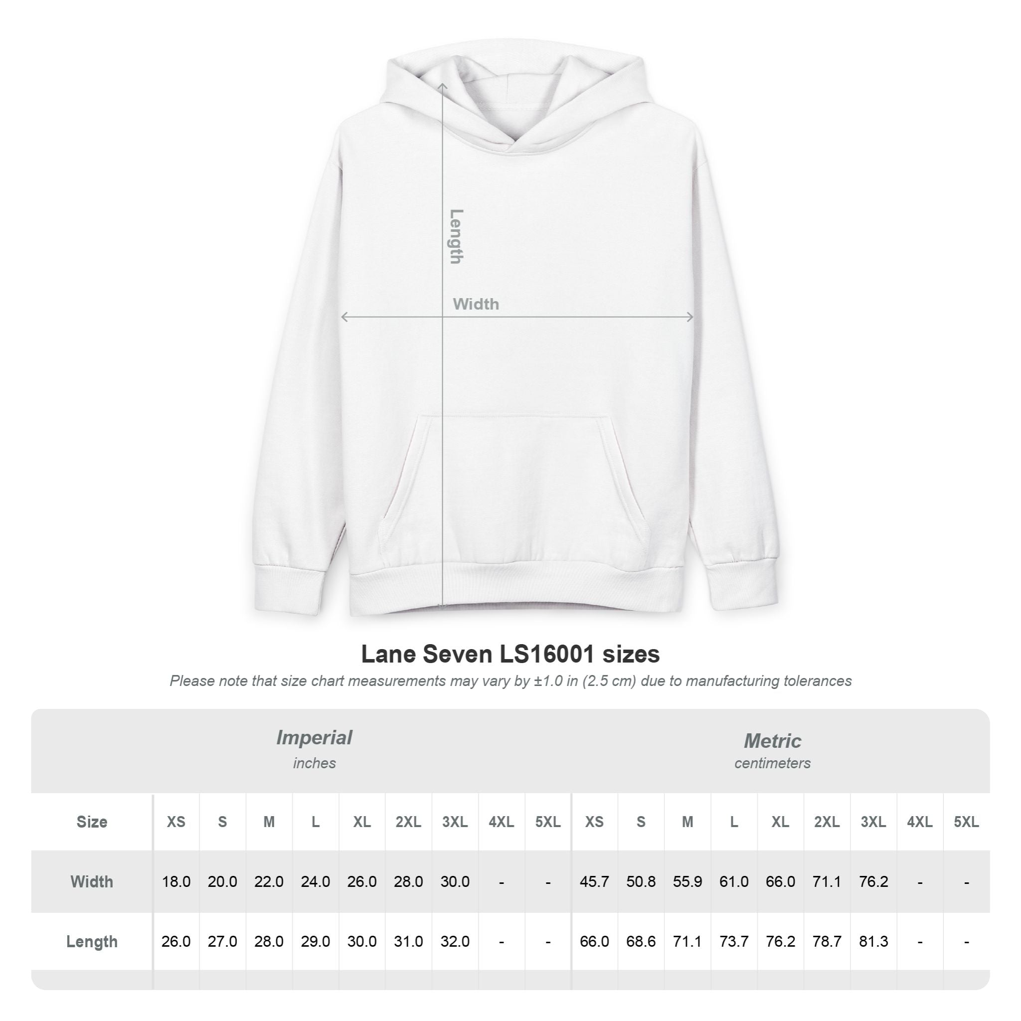 Diktatè Urban Pullover Hoodie — detail view
